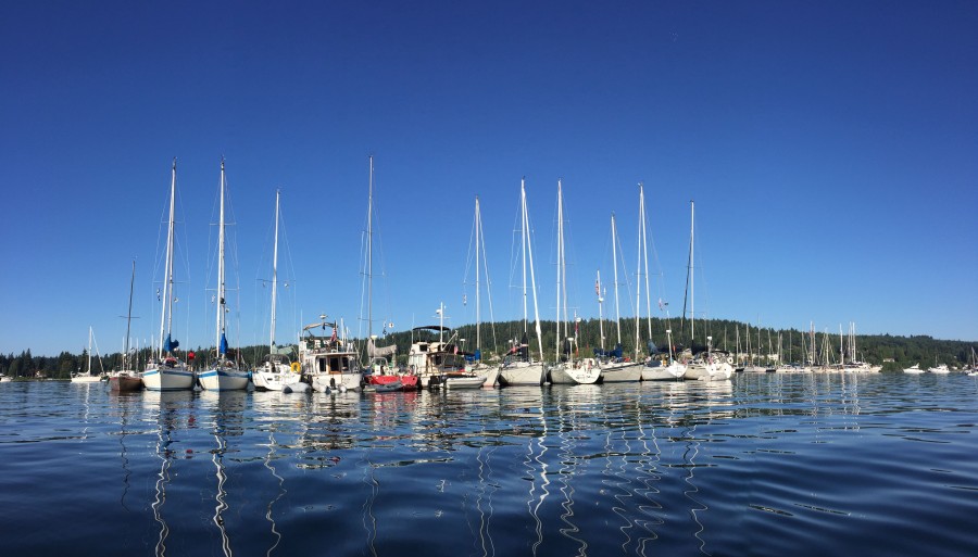 Shilsole Bay Yacht Club Raft